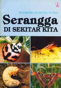 Image of Serangga di Sekitar Kita
